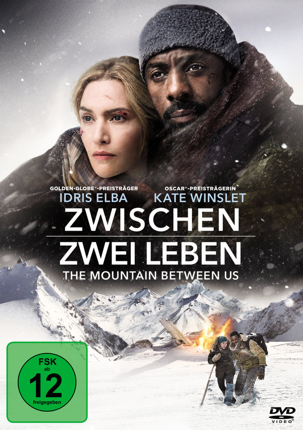 Zwischen zwei Leben - The Mountain Between Us