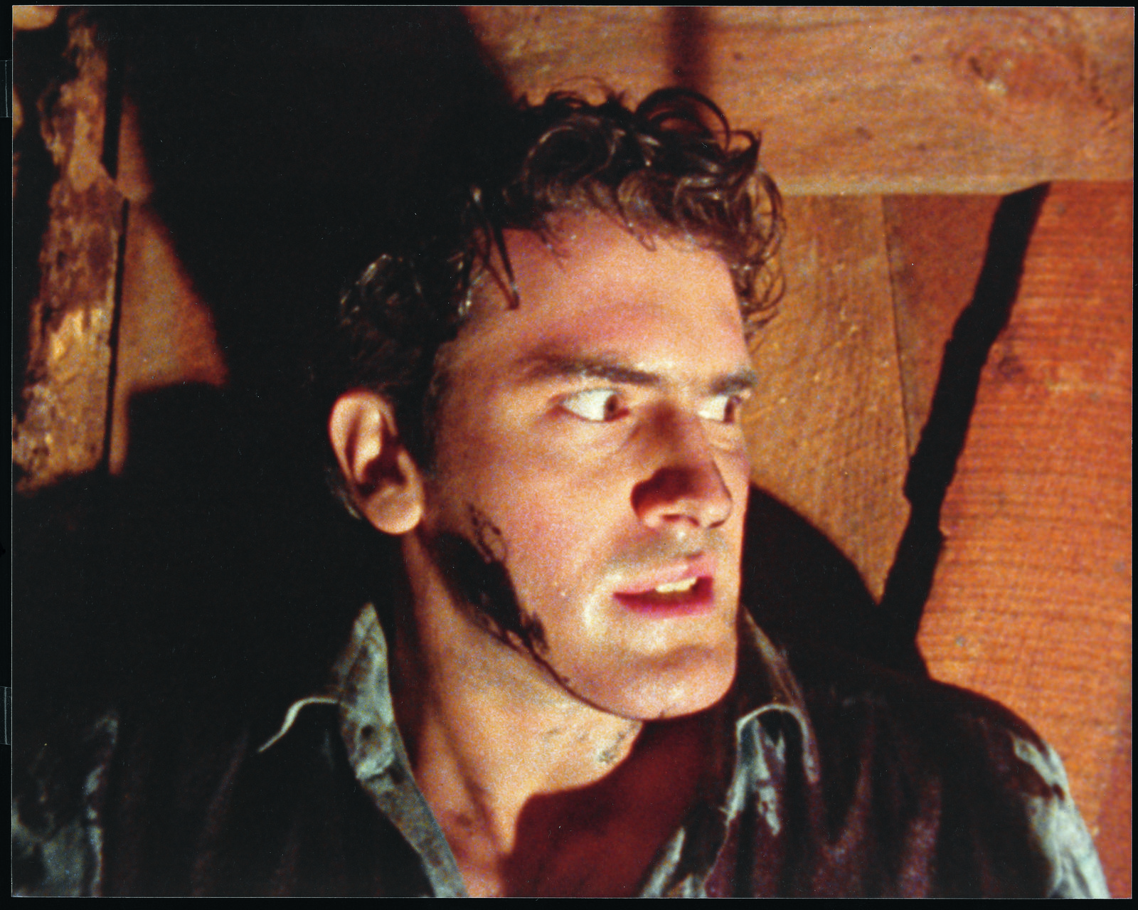 Tanz der Teufel - Evil Dead - Das Original (blu-ray)