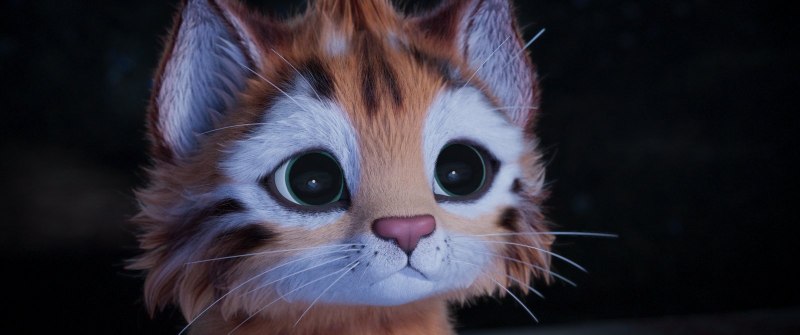 Heidi - Die Legende vom Luchs  (DVD) Heidi - Die Legende vom Luchs  (DVD)