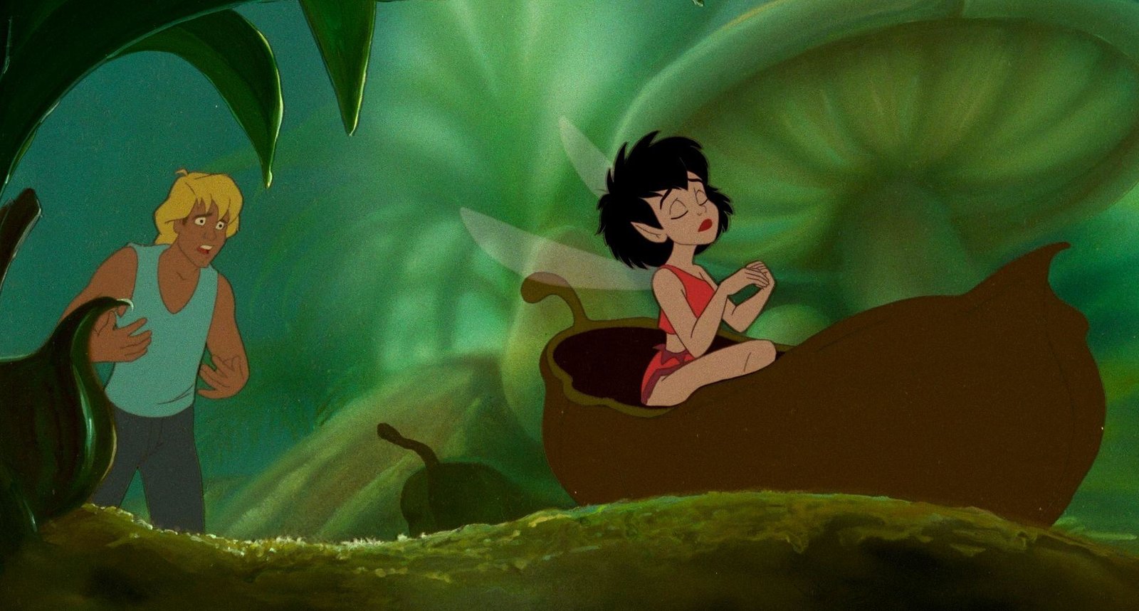 Ferngully - Christa und Zaks Abenteuer im Regenwald  (DVD)