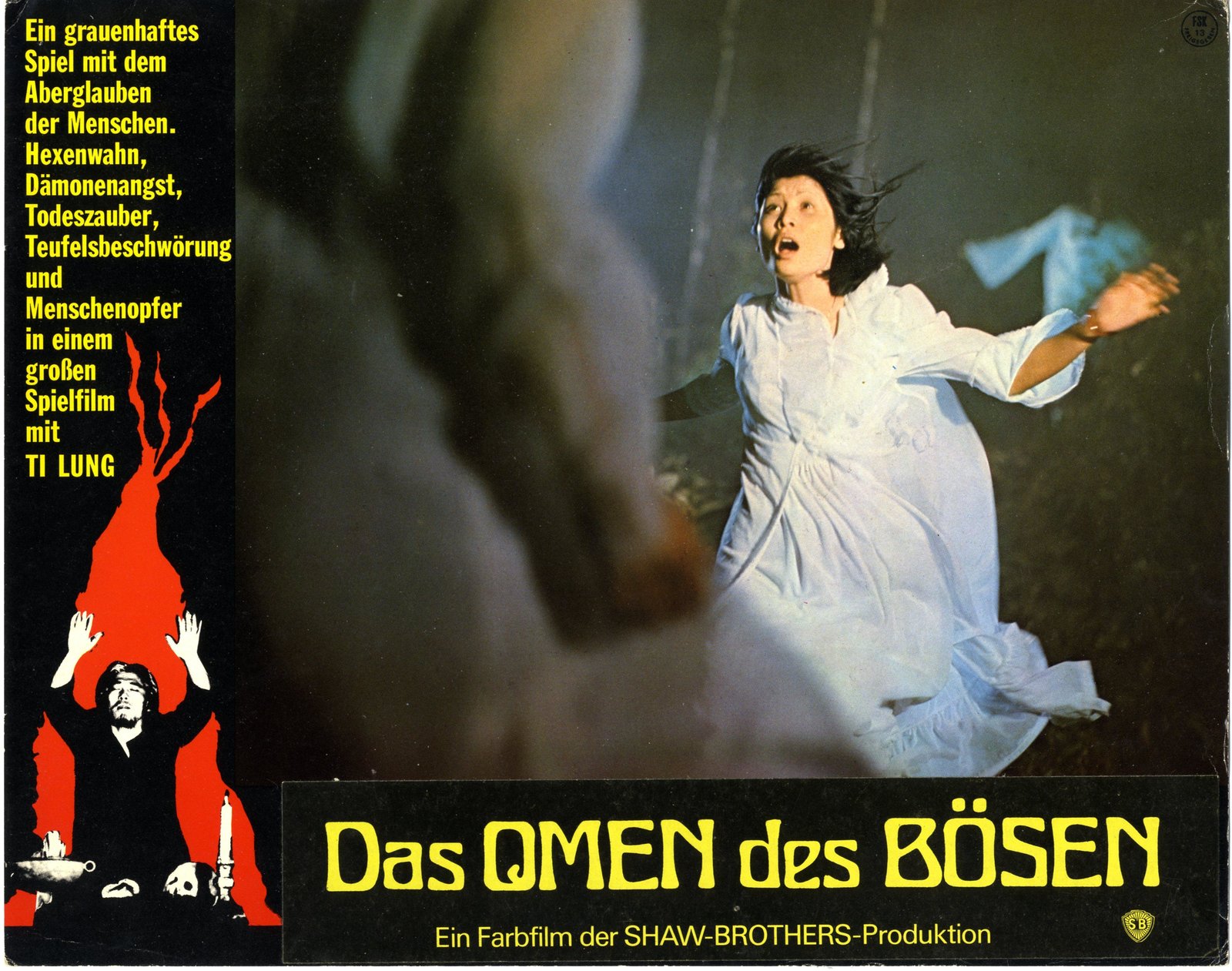 Omen des Bösen, Das - Der Mann mit der Tigerpranke - Shaw Brothers Double Feature