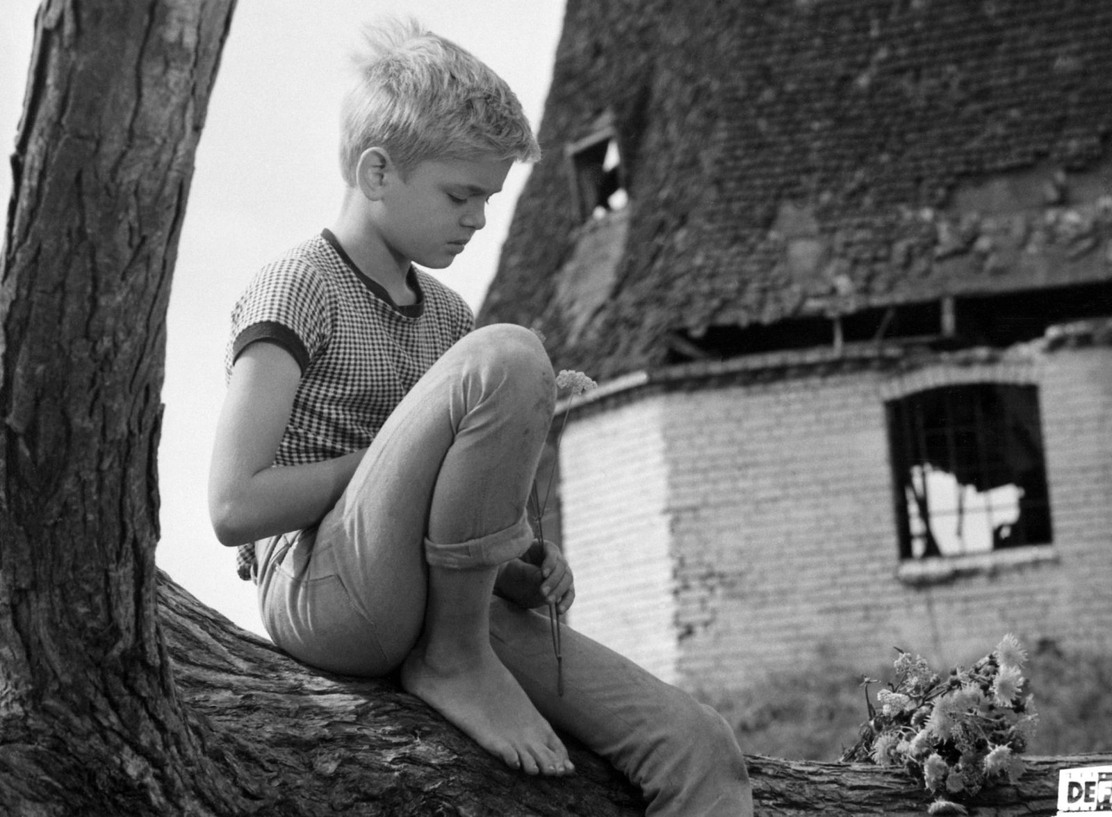 Kaule (DEFA Filmjuwelen)  (DVD)