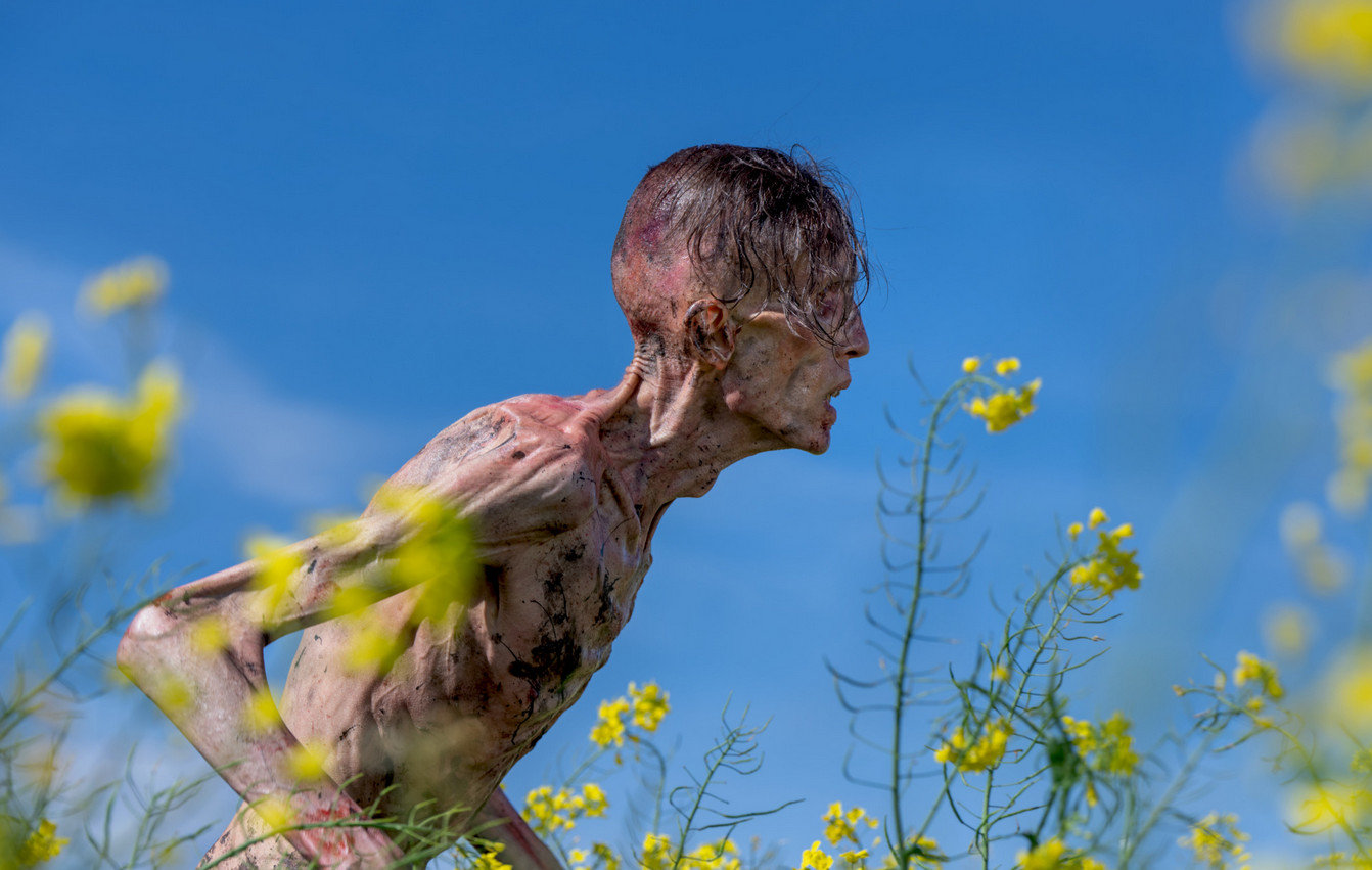 28 Years later  (Blu-ray Disc)