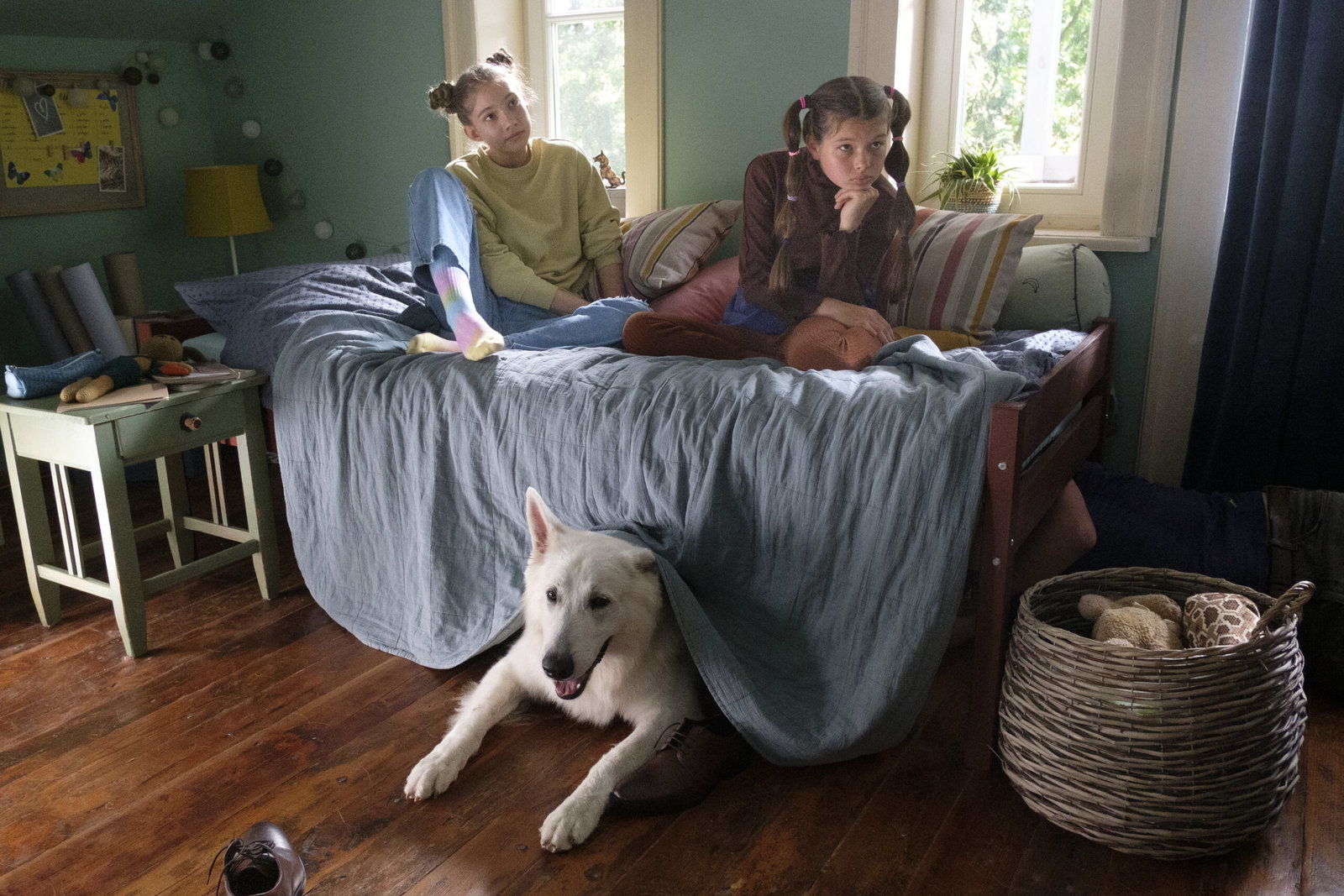 Lampo - Ein Vierbeiner auf Reisen  (DVD)