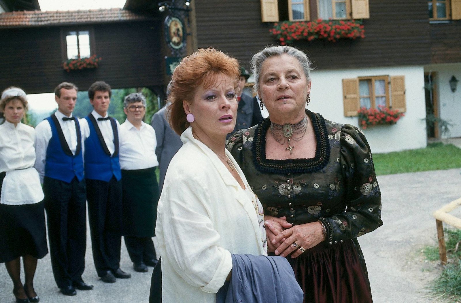 Waldhaus - Die komplette ZDF-Serie in 19 Teilen (Fernsehjuwelen)  [8 DVDs]  (DVD)