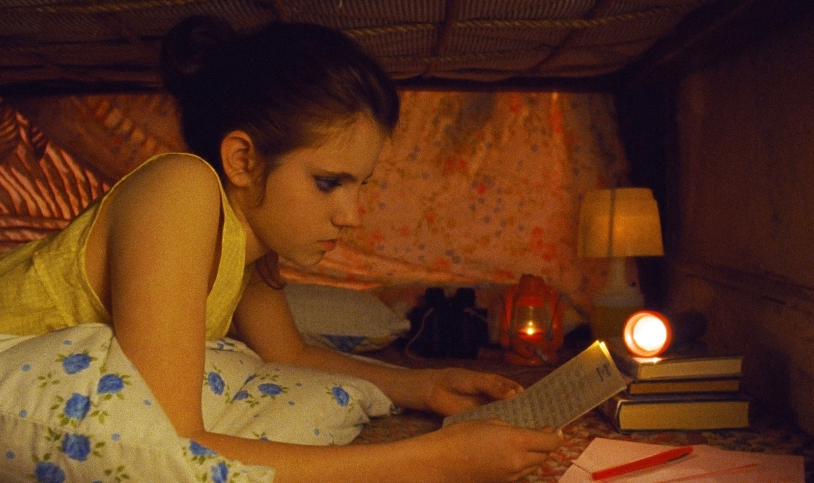 Moonrise Kingdom  (Blu-ray Disc)