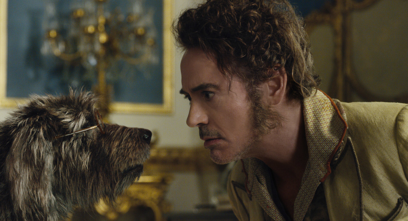 Die fantastische Reise des Dr. Dolittle - 3D - Turbine Collector Series #06  (Blu-ray 3D)