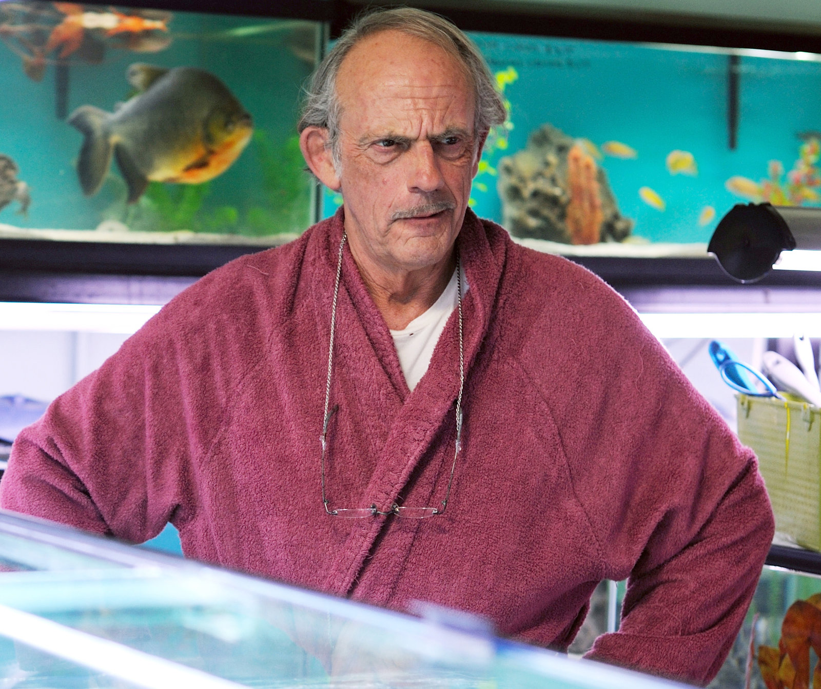 Piranha - Es gibt Fisch, Baby!  (DVD)