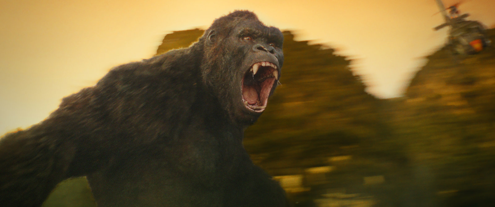 Kong: Skull Island  (DVD)