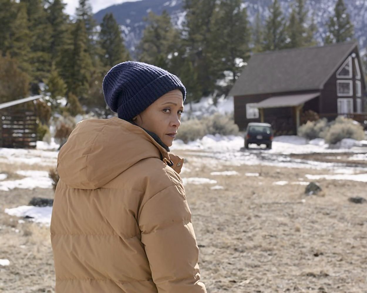 God's Country / Preisgekrönter packender Thriller mit den Stars aus „Yellowstone“ und „Westworld“  (DVD)