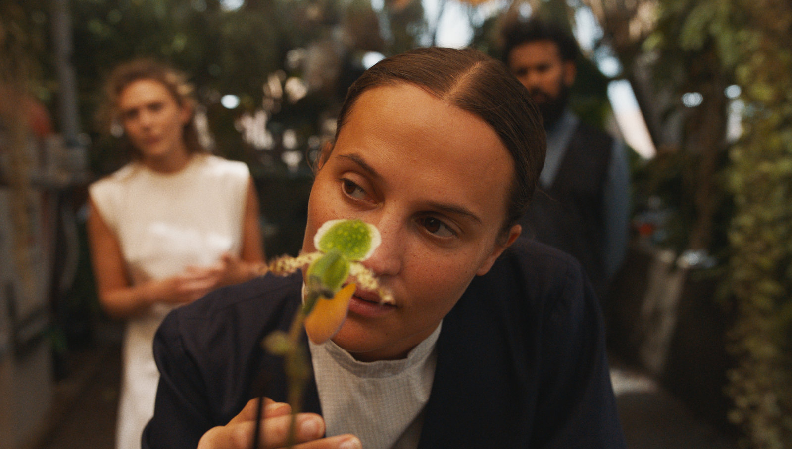 The Assessment - Uncut Mediabook Edition  (4K Ultra HD+blu-ray) The Assessment - Uncut Mediabook Edition  (4K Ultra HD+blu-ray)