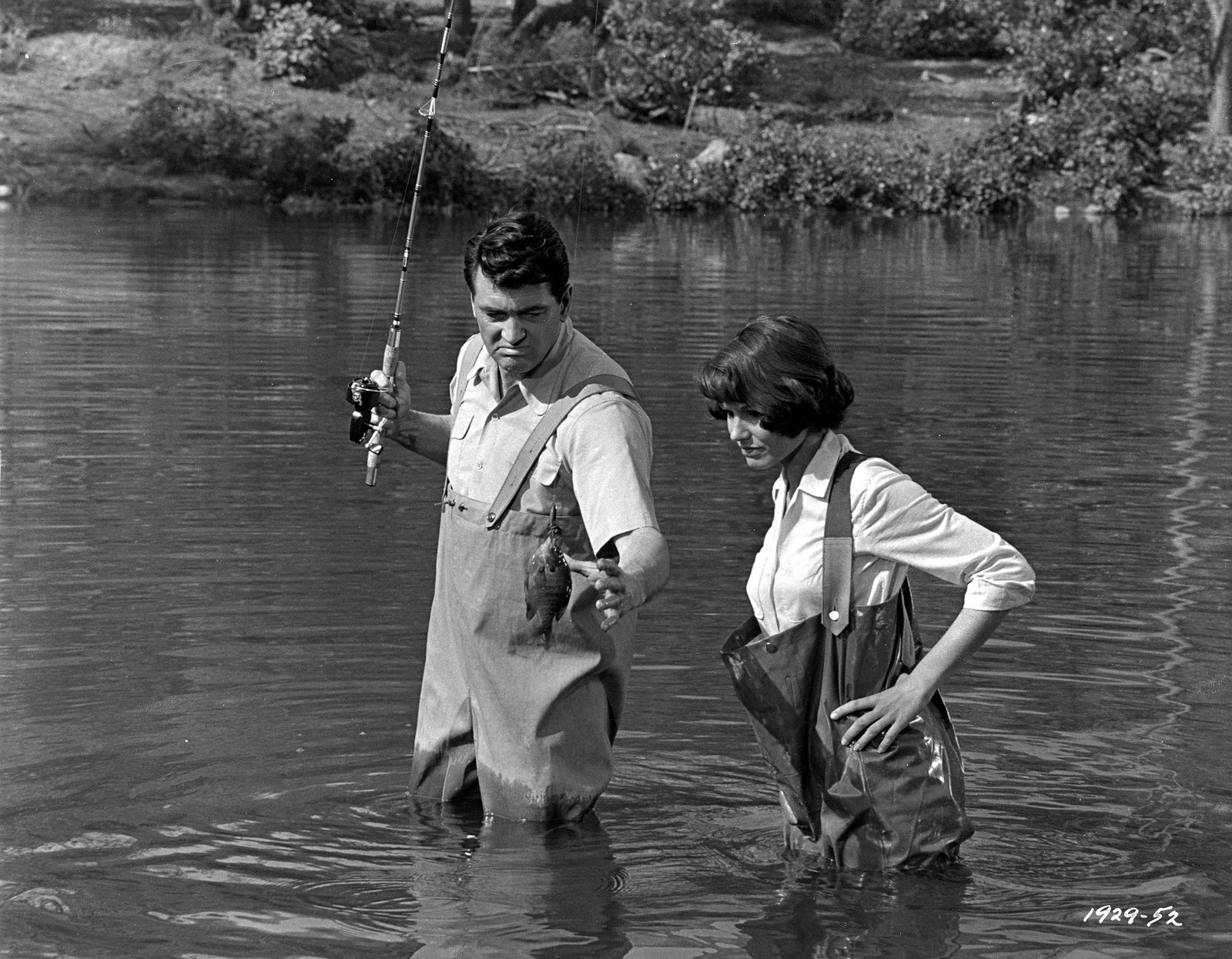 Ein Goldfisch an der Leine (blu-ray)